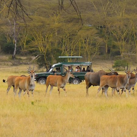 Lake Elmenteita Serena Camp Eksteriør bilde