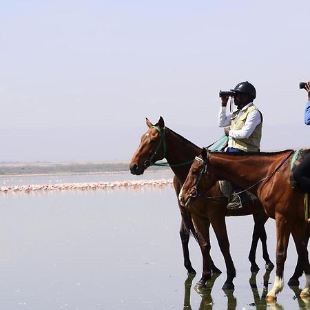 Lake Elmenteita Serena Camp Eksteriør bilde