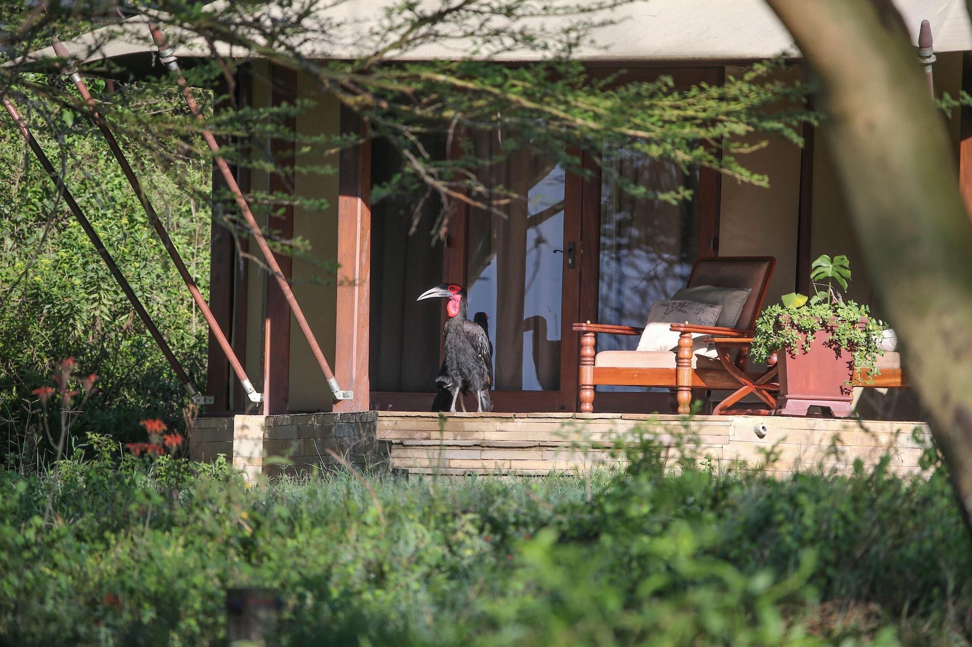 Lake Elmenteita Serena Camp Eksteriør bilde