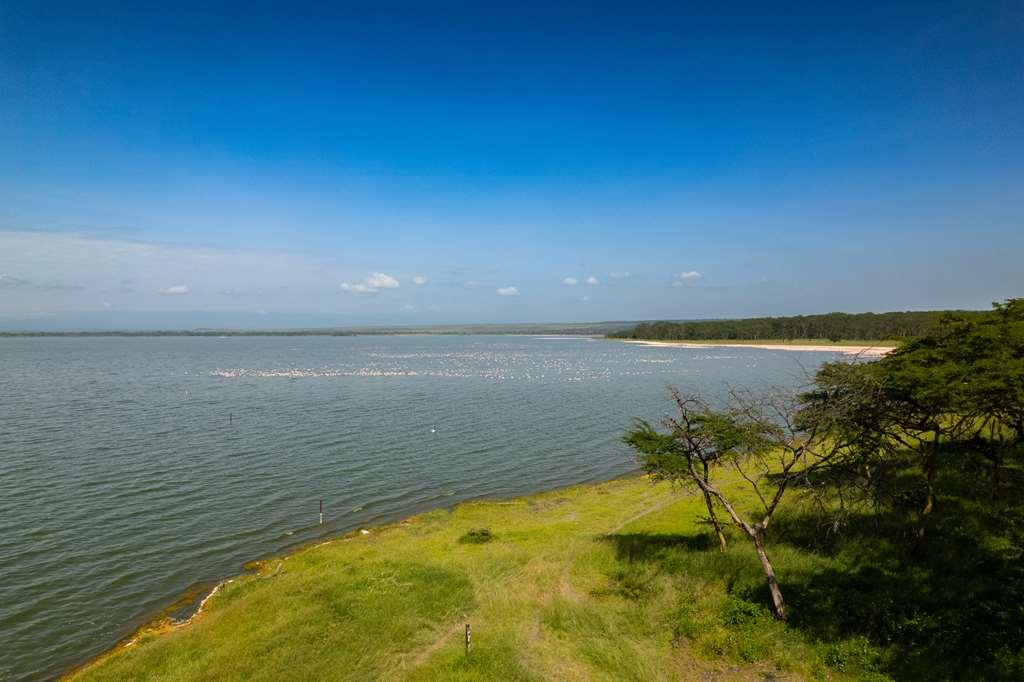Lake Elmenteita Serena Camp Eksteriør bilde